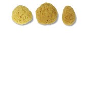 Acofar esponja natural (t- gde)